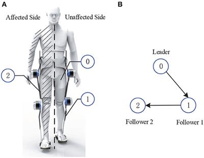 Data-Driven Optimal Assistance Control of a Lower Limb Exoskeleton for Hemiplegic Patients